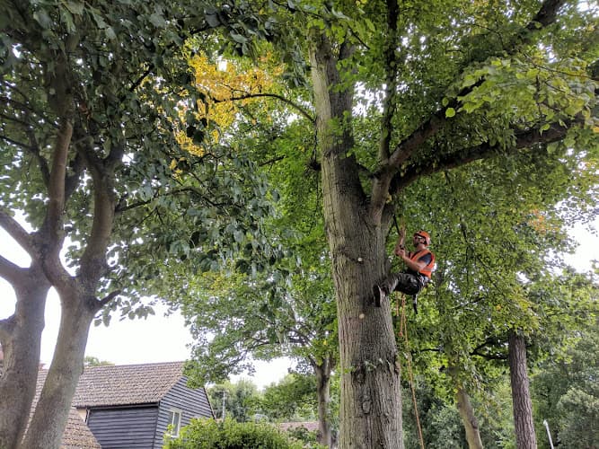 Business listing image