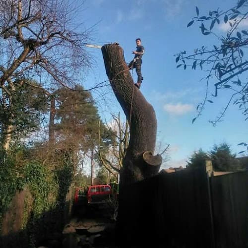 Business listing image