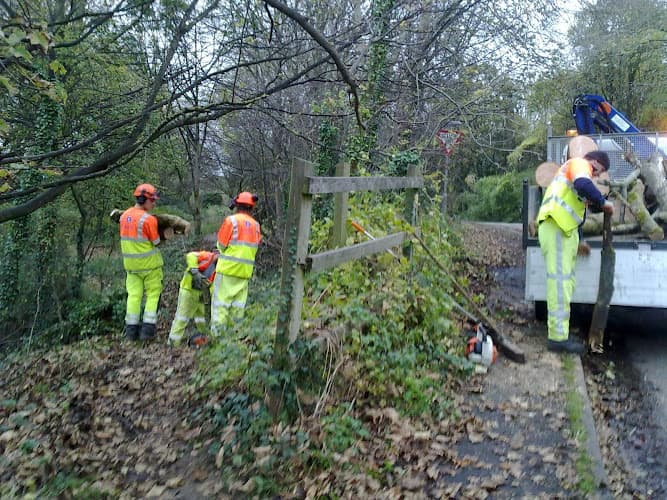 Business listing image