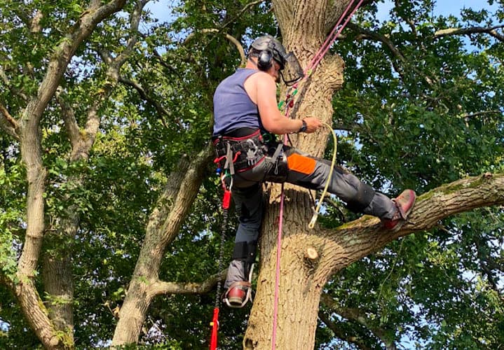 Business listing image