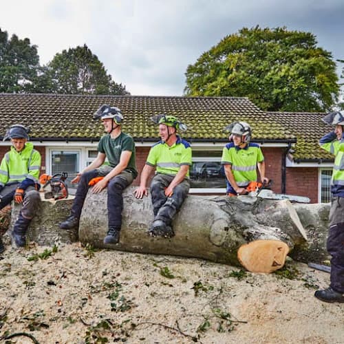 Business listing image