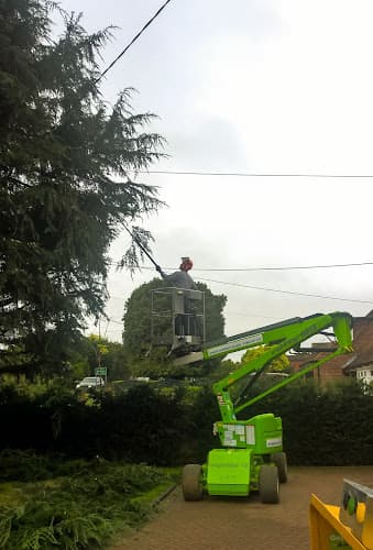 Business listing image