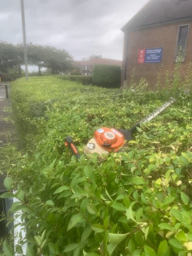 Business listing image