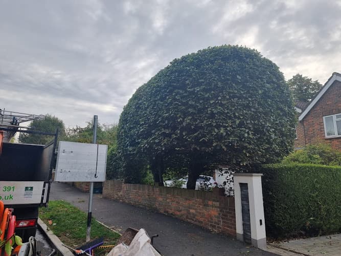 Business listing image