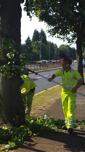 Business listing image