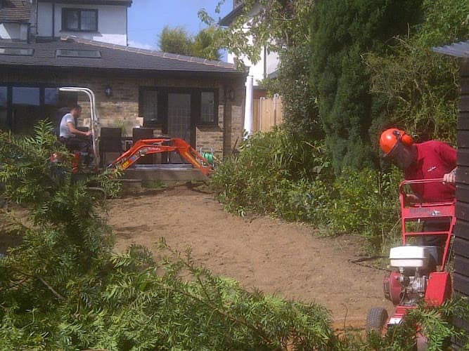 Business listing image